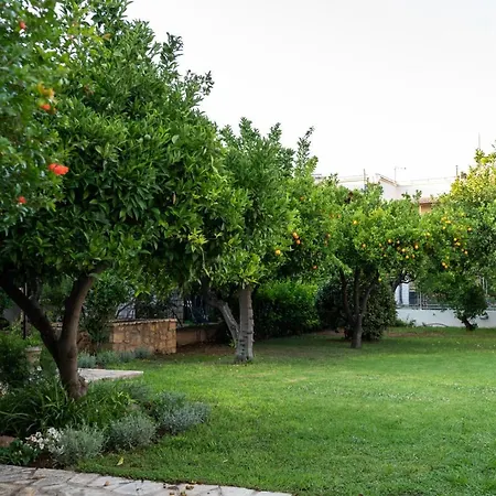 Carpe Diem Corinthian ι *